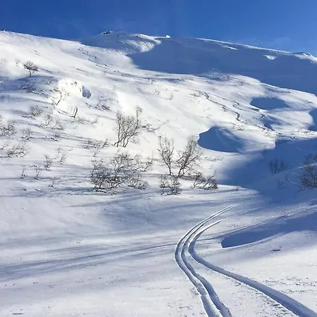 펜션 Mountain With And Trails At The Door Tjorhom
